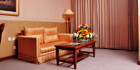 suite room slide